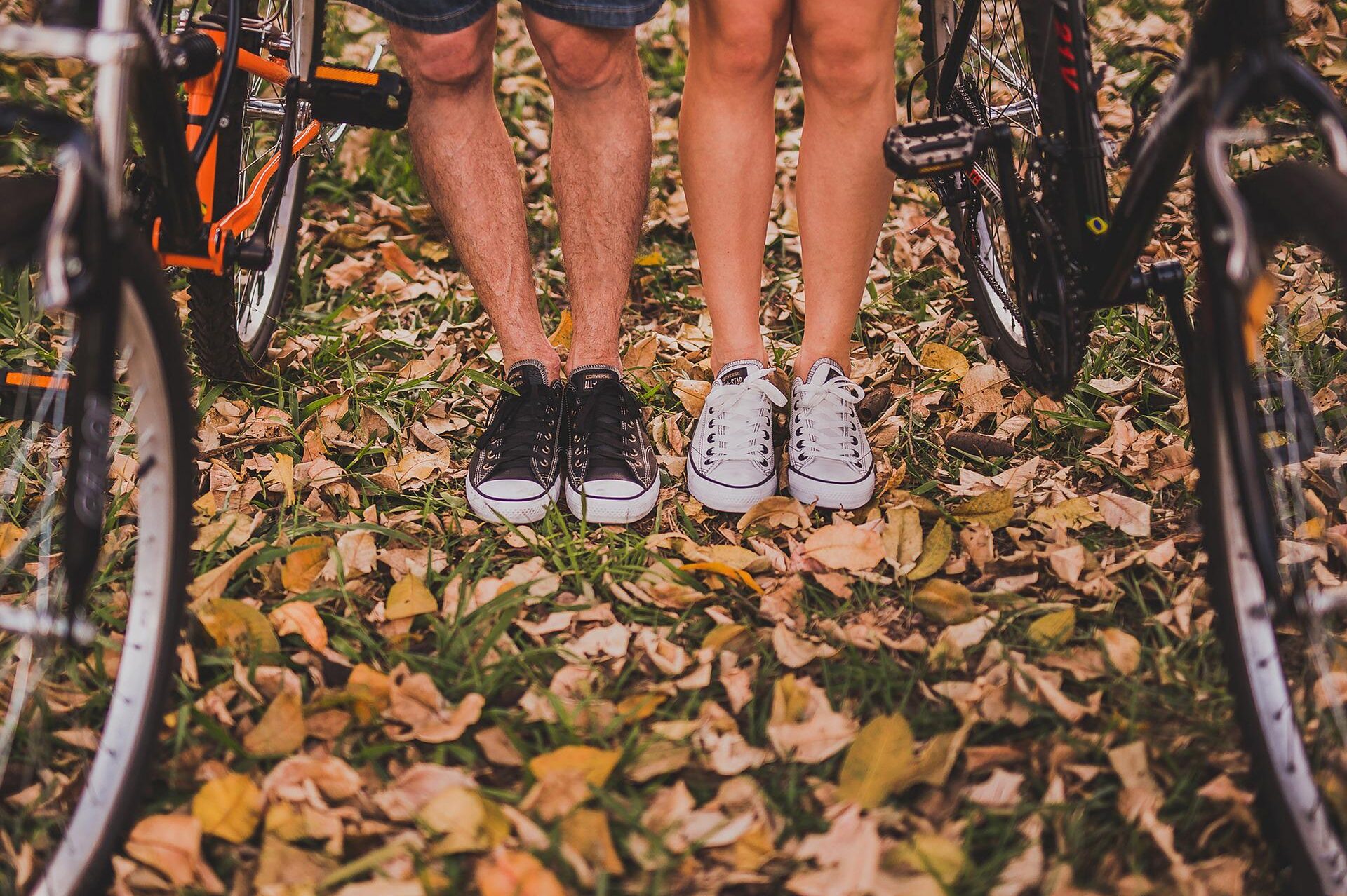 cropped-pair-1867051_1920.jpg